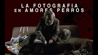 AMORES PERROS (2000) -  LA FOTOGRAFIA