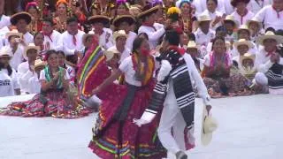 Jarabe Mixteco Guelaguetza