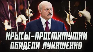 Как Лукашенко обзывает беларусов (а потом на них же и обижается) | Сейчас объясним