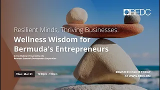 Resilient Minds, Thriving Businesses: Wellness Wisdom for Bermuda's Entrepreneurs