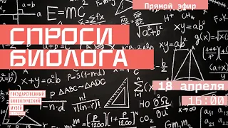 Спроси биолога. Зрение