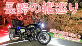 500km day trip from Tokyo, touring around cherry blossoms in Nagano [Kawasaki W800 Street].