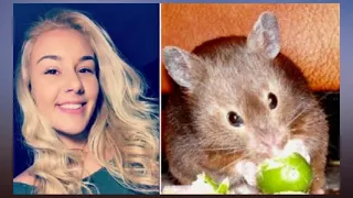 Student Claims Airline Made Her Kill Emotional Support Hamster