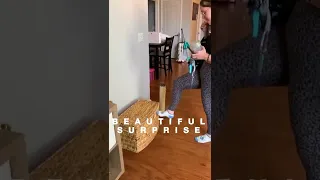 Woman Gives Priceless Reaction After Her Sister Surprises Her With Kitten