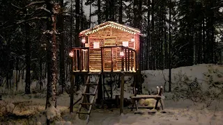 Preparing the Treehouse For the Winter - Adding Moss Roof, Insulation, Floor, Shelf & Making Rotator