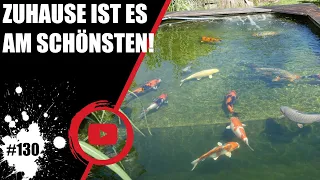 Zuhause ist es am schönsten! Mein Koiteich im Video!