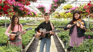 Whispering Creek Bluegrass ~ Amazing Grace