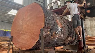 Awesome Woodworking Factory Extreme Wood Cutting Sawmill Machines | Cheesy Wood Giant 200 Year Old