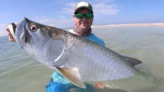 CRAZY Tampa Bay Tarpon Fishing [Tips & Techniques]