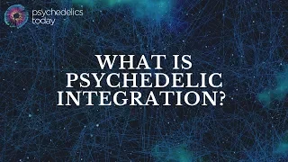 What is Psychedelic Integration