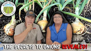 TOP 10 ONION GROWING QUESTIONS