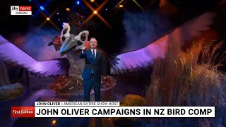 John Oliver campaigns for the Pūteketeke in NZ bird competition