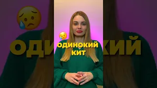 Самый одинокий кит? 😕 #биология #егэ #егэпобиологии #зоология