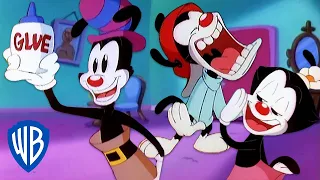 Animaniacs | Topsy-Turvy Warners | Classic Cartoon | WB Kids