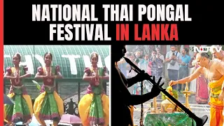 Thai Pongal, A Harvest Festival For Tamils