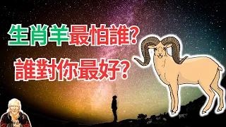 屬羊人，你最怕什麼人？你和誰關係最好？他們會影響你一生的運勢，千萬當心！ #2024年生肖羊運勢 #2024生肖羊運程 #生肖羊的壽命 #屬羊人2024年運程 #屬羊人2024年運勢