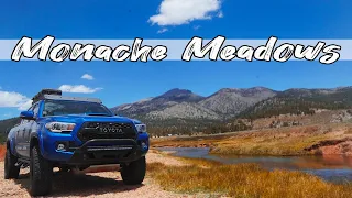 2WD Tacoma Adventure - Monache Meadows - How to get into and where to camp