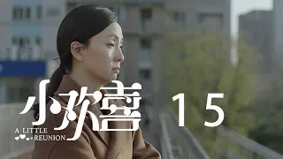 小歡喜 15 | A Little Reunion 15（黃磊、海清、陶虹等主演）