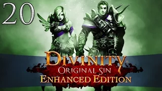 Let's Play ► Divinity: Original Sin Enhanced Edition Co-Op - Part 20 - Blossius and Livia