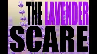 The Lavender Scare Explained