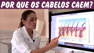 Por que os cabelos caem? Saiba como acontece o Ciclo do Cabelo