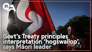 Māori will oppose efforts to redefine Treaty principles, says leader | Q+A 2024