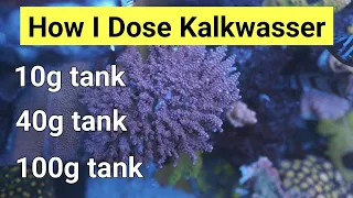 How I Dose Kalkwasser On All My Tanks (100g, 40g & 10g)
