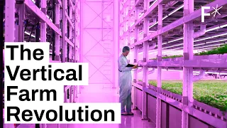 How vertical farming can save the planet & feed the world