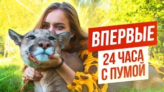 ВПЕРВЫЕ: 24 ЧАСА С ПУМОЙ / МЕНЯ ВЫГУЛИВАЕТ ПУМА