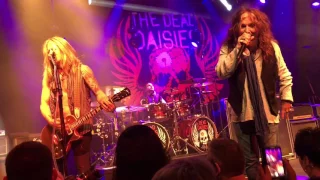 The Dead Daisies, Boerderij Zoetermeer - June, 14 2017