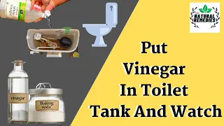 Stinky Yucky Smell? No Problem - Vinegar Can Do the Trick - Get Rid of Stinky Odors with Vinegar