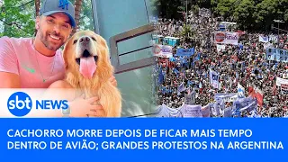 🔴Brasil Agora: Cachorro morre dentro de avião; grandes protestos na Argentina #noticias #cachorro