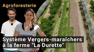 Agroforestry system: combined cultivation of fruit and vegetables - (project "La Durette", Avignon)