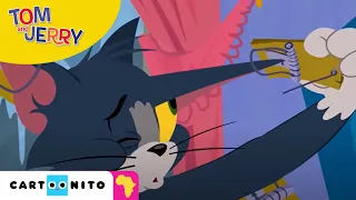 Tom and Jerry: Mouse Trap | Cartoonito Africa