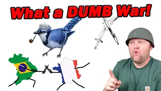 The Dumbest War Nobody Talks About | BlueJay | History Teacher Reacts