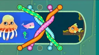 save 🐠🐋🐟the fish game pull the pin max level walkthrough || hard level fishdom //fish rescue