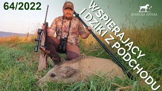 SUDECKA OSTOJA 64/2022 Wspierający i dziki z podchodu, Wildboars hunting