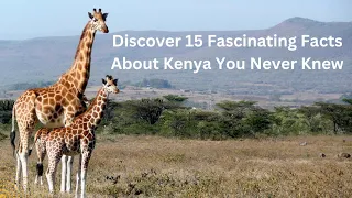 Discover 15 FASCINATING Facts About KENYA You Never Knew