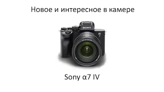 Разбор возможностей Sony Alpha 7 IV