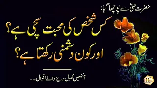 Best Collection Of Hazrat Ali (Recognition of true and false love) - Golden Words - Rj H Usman