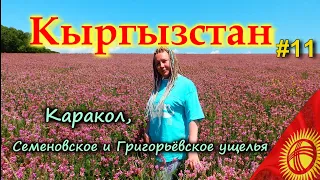 КЫРГЫЗСТАН 4К Каракол, Дунганская мечеть, Семеновское ущелье, Григорьевское ущелье #11