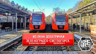 Из окна электрички (Ласточки) Зеленоградск-Светлогорск