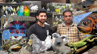 Karnataka Aquarium|Exotic reptiles|Iguana,Angora Rabbits,Turtles,Mice,Birds|Latest Stock update Vlog