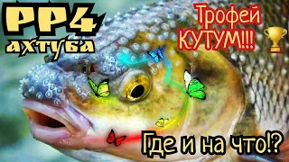 РР4. Ахтуба. Где и на что ловить ТРОФЕЙ Кутум!? Мой 74-й Трофей)