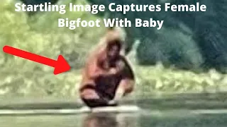 Startling New Images Captures Female Bigfoot With Baby? | Ancient Destinations