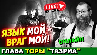 Глава Торы "Тазриа"   | Комментарии к недельной главе | Лекции Байтмана