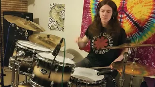 Red Hot Chili Peppers - The Great Apes - Drum Cover