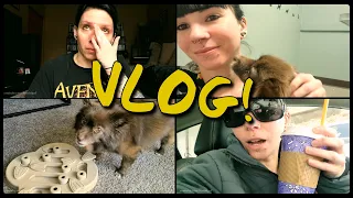 VLOG: February 11th-13th | I'm doing okay...