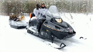 Купили новый снегоход! Охота на зайцев с гончими пошла не по плану!🤣