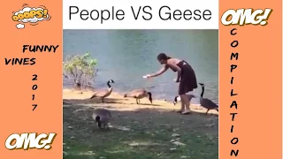 😁People VS Geese  😍Funny Fails Compilation 2017